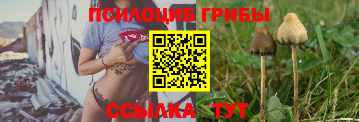 Галлюциногенные грибы мухоморы Муравленко